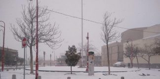 Cae nevada en noroeste y norte del estado