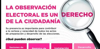 El 30 de abril vence el plazo para acreditarse como observador/a electoral
