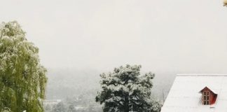 Se registra nevada en El Vergel, Balleza y -3.4°C, informa Protección Civil