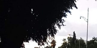 Causa tormenta inundaciones y desprendimiento de techos de lámina en la capital del estado