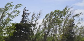 Pronostican vientos moderados con un ambiente de templado a cálido en la entidad