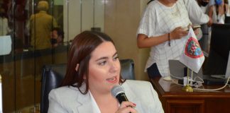 Propone diputada América García Soto incluir vehículos “chuecos” del noroeste en acciones de identificación