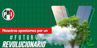 Estamos a favor del desarrollo sostenible y queremos un país que apueste por las energías limpias: PRI