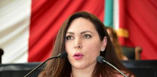 Exhorta la Diputada Georgina Zapata a la Secretaría de Salud a crear Programas para la Atención del Embarazo