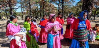 Promueve Chihuahua la difusión y preservación de las lenguas originarias migrantes