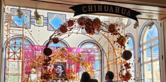 Supera expectativa de visitantes exposición Mes de Chihuahua en Washington D.C.