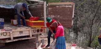 Se fortalece a familias rarámuri de Urique para producción agrícola