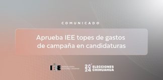 Aprueba IEE topes de gastos de campaña en candidaturas
