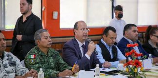 Informa Mesa de Trabajo Interinstitucional importantes resultados en el combate a la tala ilegal durante 2023