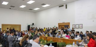 Define IEE diputaciones de representación proporcional