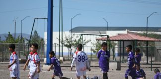 Juegan equipos CAFEEZ de Ascensión la jornada 3 de la Liga Paquimé Infantil de N.C.G.