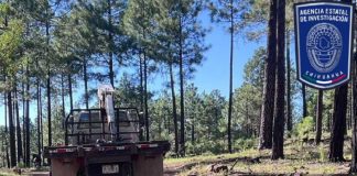 Detienen en flagrancia a guiador de camión de carga por homicidio imprudencial