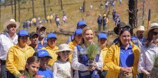 Impulsa Maru Campos la reforestación y el desarrollo sustentable en beneficio de 10 mil habitantes de la Sierra Tarahumara