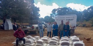 Fortalecen seguridad alimentaria de 40 familias de comunidades indígenas en Madera