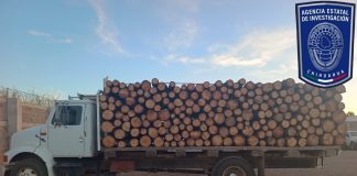 Detiene AEI a masculino por no acreditar legal procedencia de madera