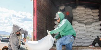 Arranca entrega de semilla de frijol para siembra