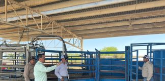 Refuerza Gobierno del Estado inspecciones sanitarias de ganado en la zona sur de la entidad
