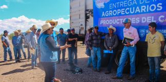 Capacita Estado a productores para la detección del Gusano Barrenador del Ganado